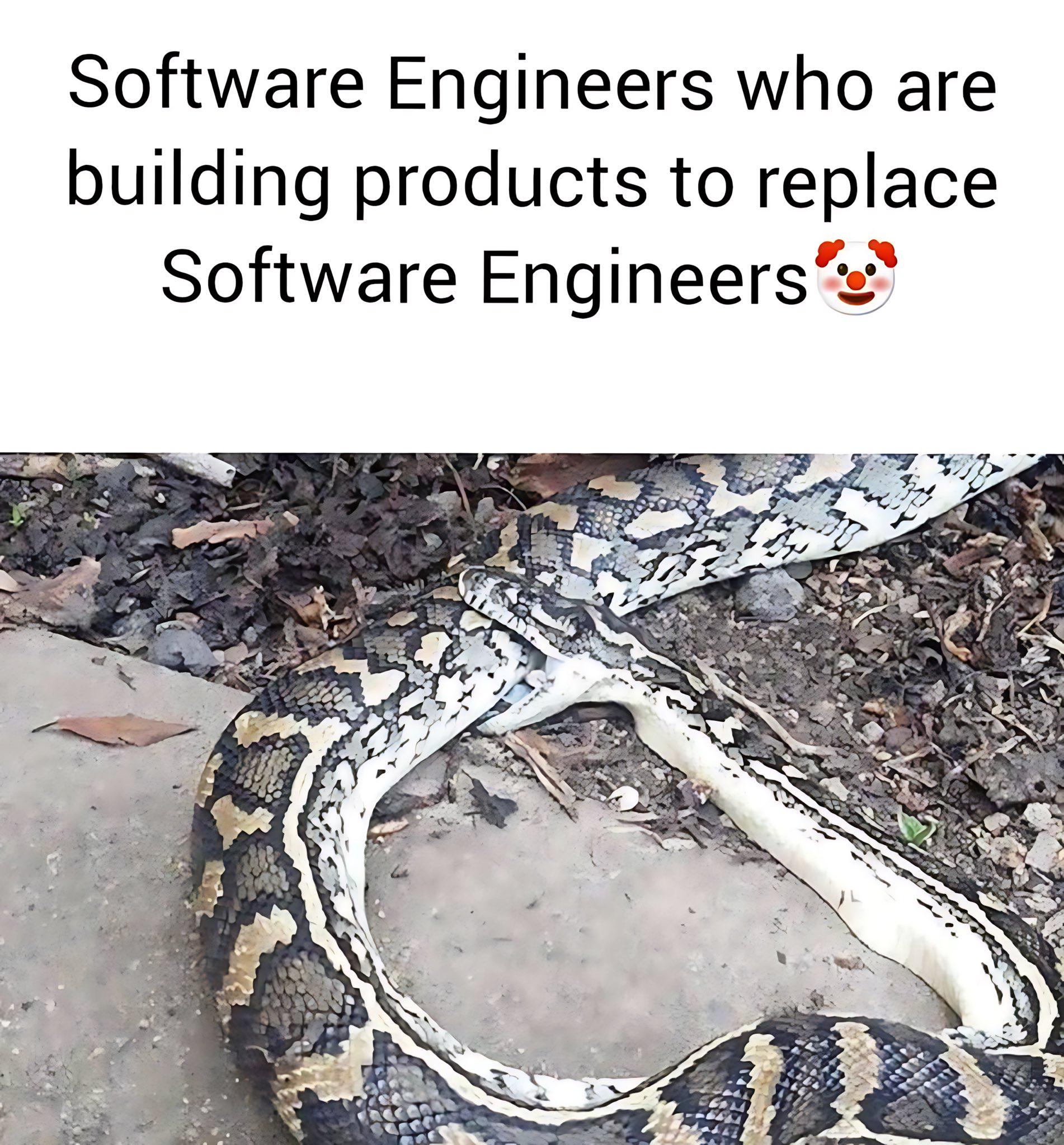 Software Engineer 🤡