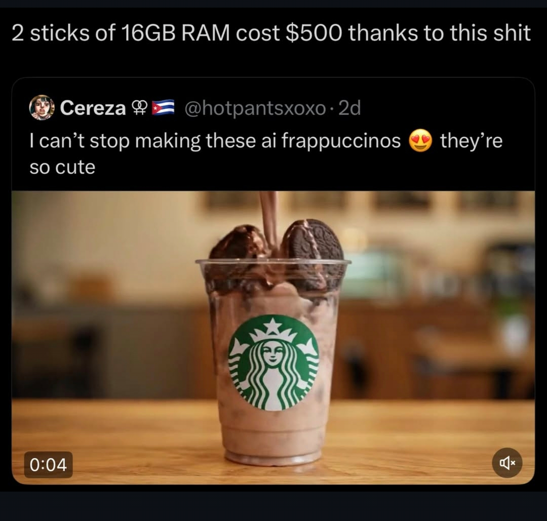 This Is So Stupid. I Hope That The Ram Prices Will Go Down In The Future.