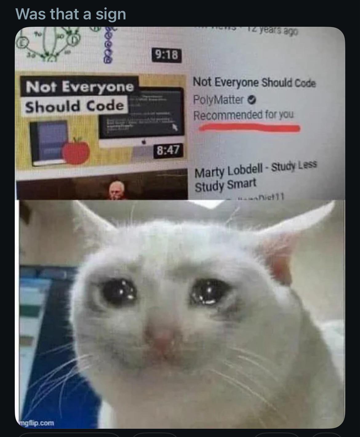 What Is It Sign Of 🫠🫠