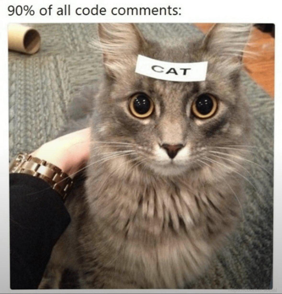 Documentation Level: Cat