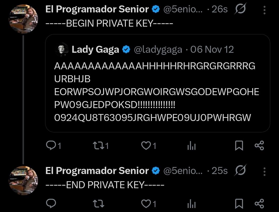 Lady Gaga Private Key