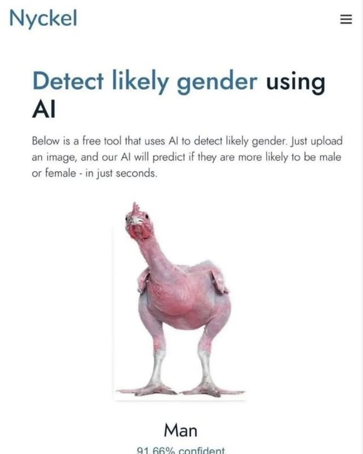 Featherless Biped, Seems Correct