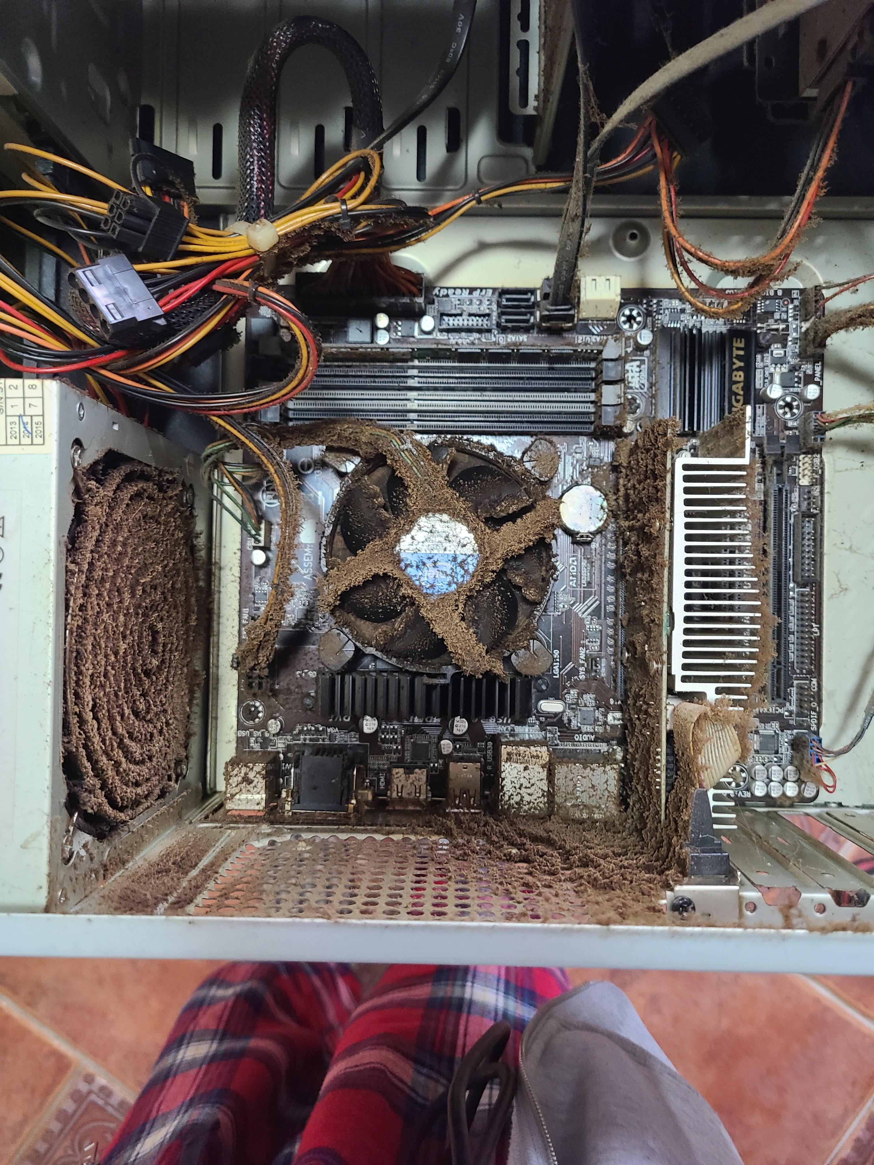 Had A Customer Come In Telling Me Their PC Was Slow...