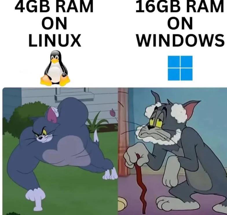 Comparing 4 GB Ram Performance On Linux And Windows