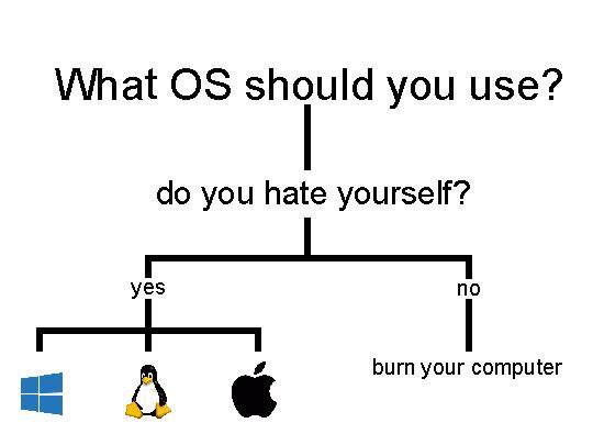 Reality Of Choosing An OS