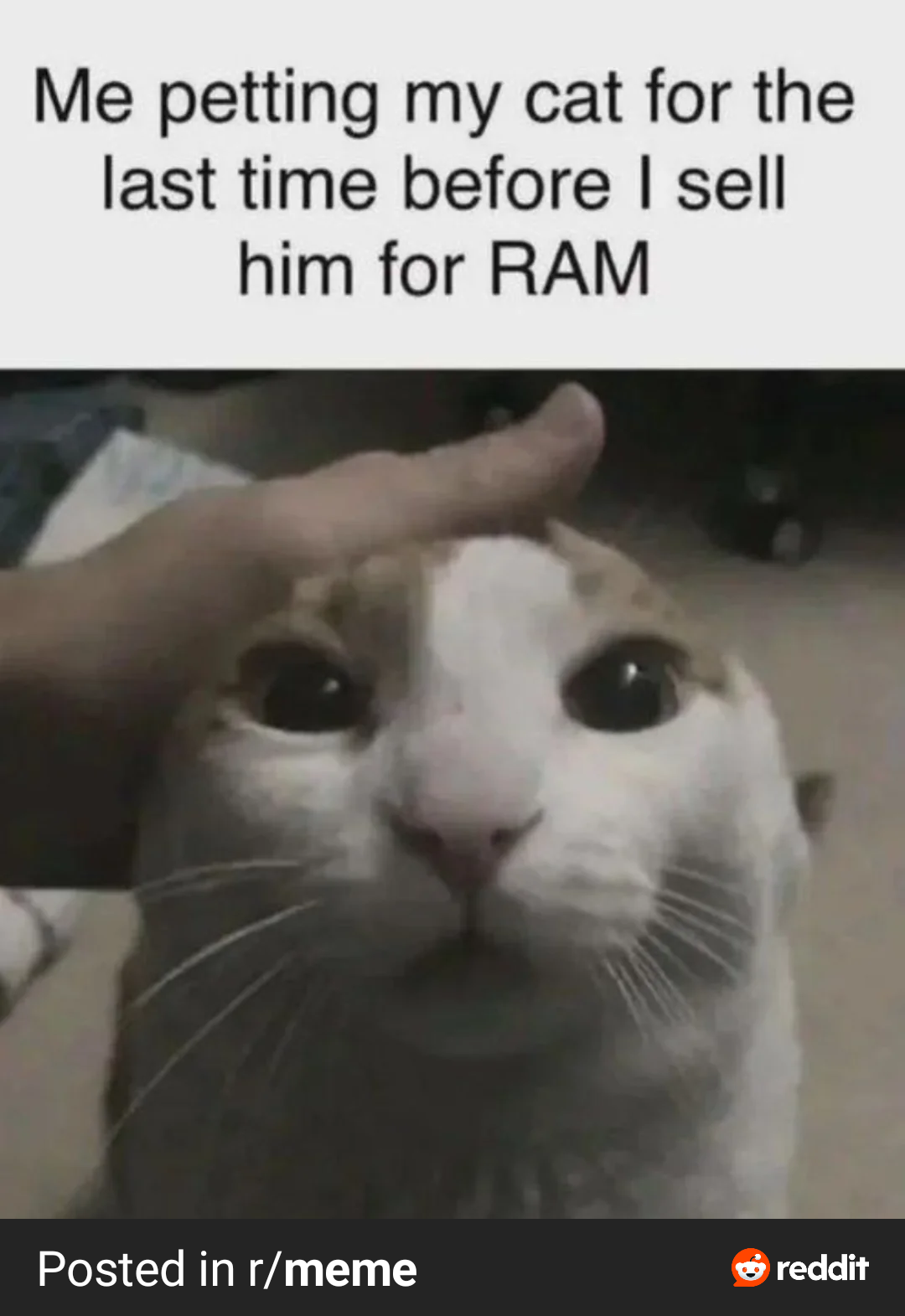 I Mean 64 Gigs Is 64 Gigs