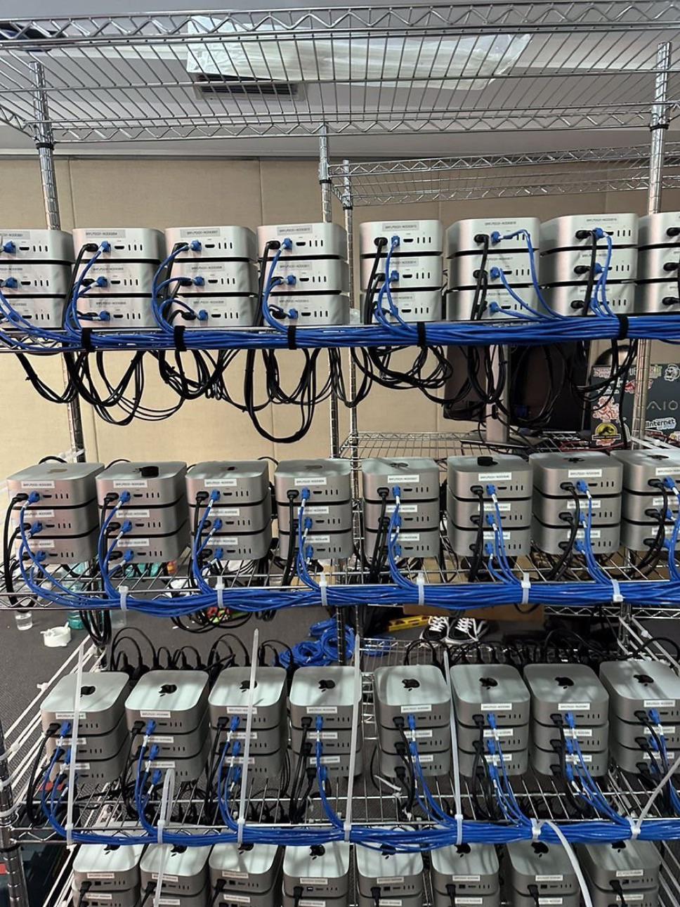 Only Setup You Need To Search For Cat Videos