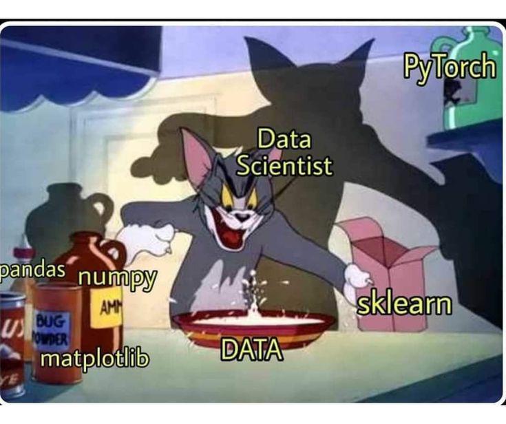 Every Data Scientist Pretending This Is Fine