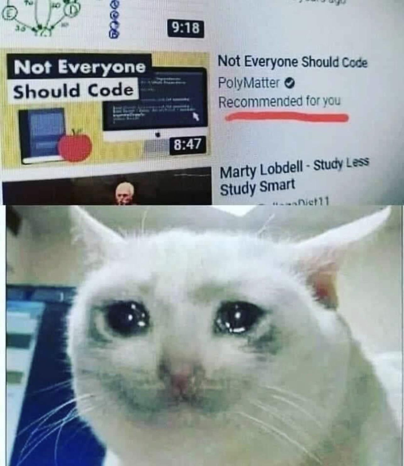 YouTube Is Not Pulling Punches