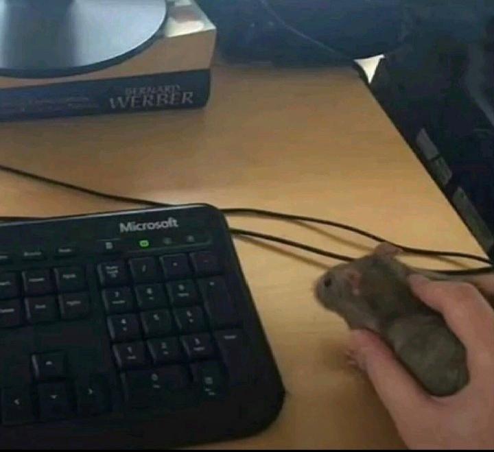 Always Use Original Product