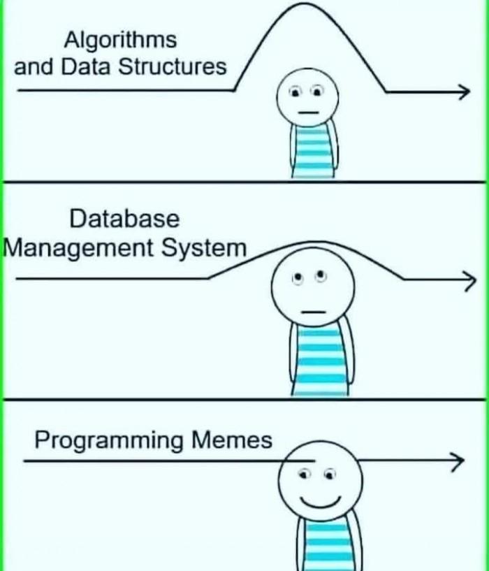 Programming Memes: The Real Computer Science Degree