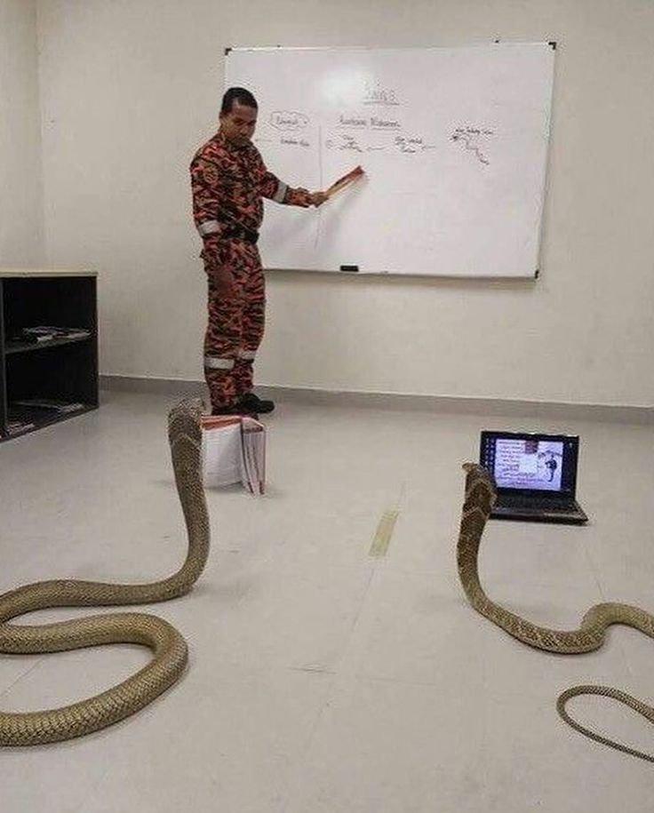 Teaching Python
