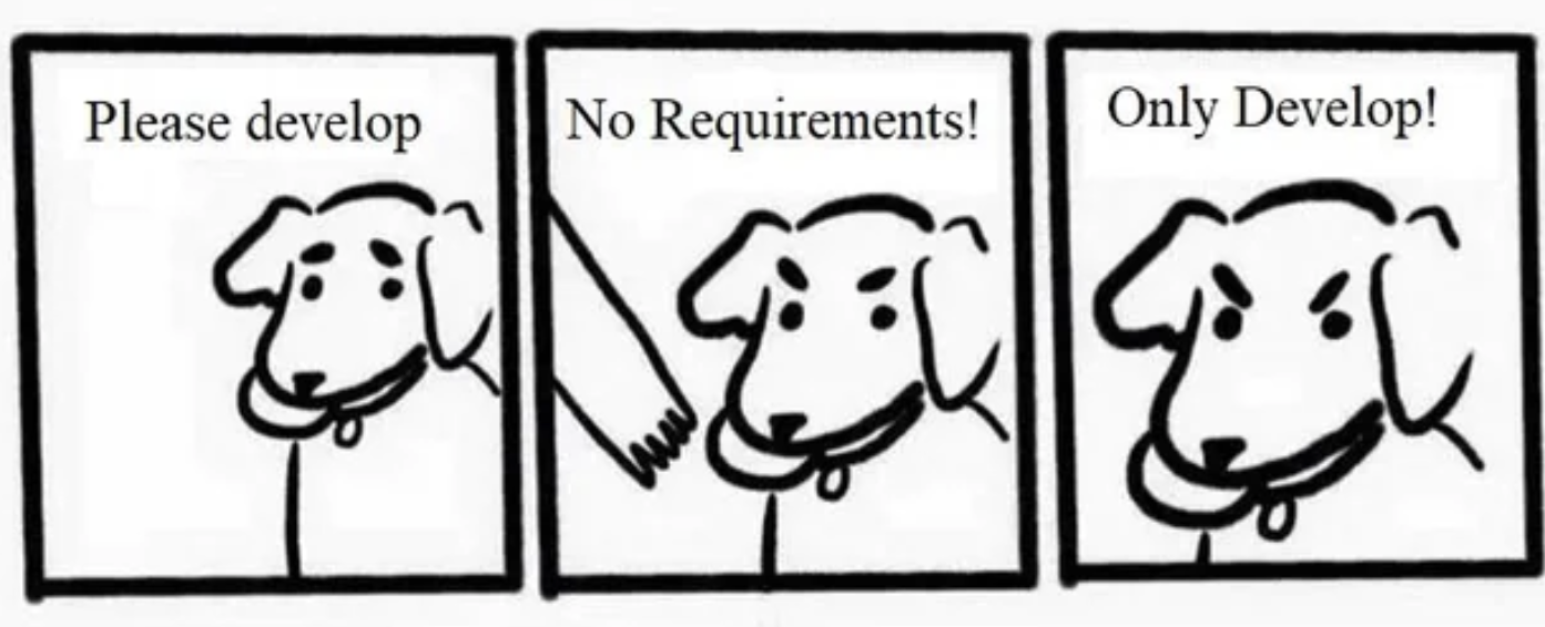 True Story Of Being A Developer