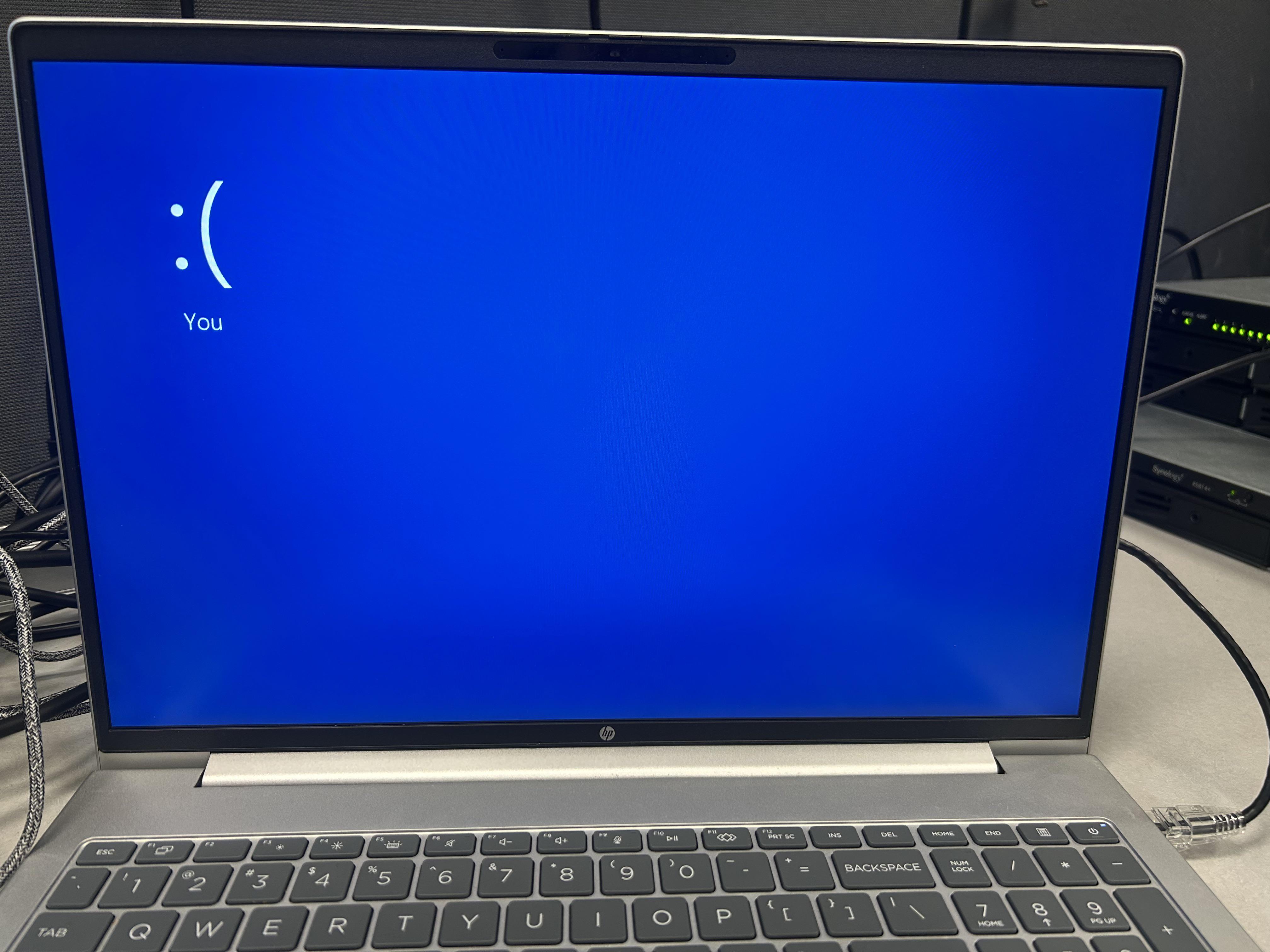 This Has To Be The Best Blue Screen Of Death I've Ever Seen In Person