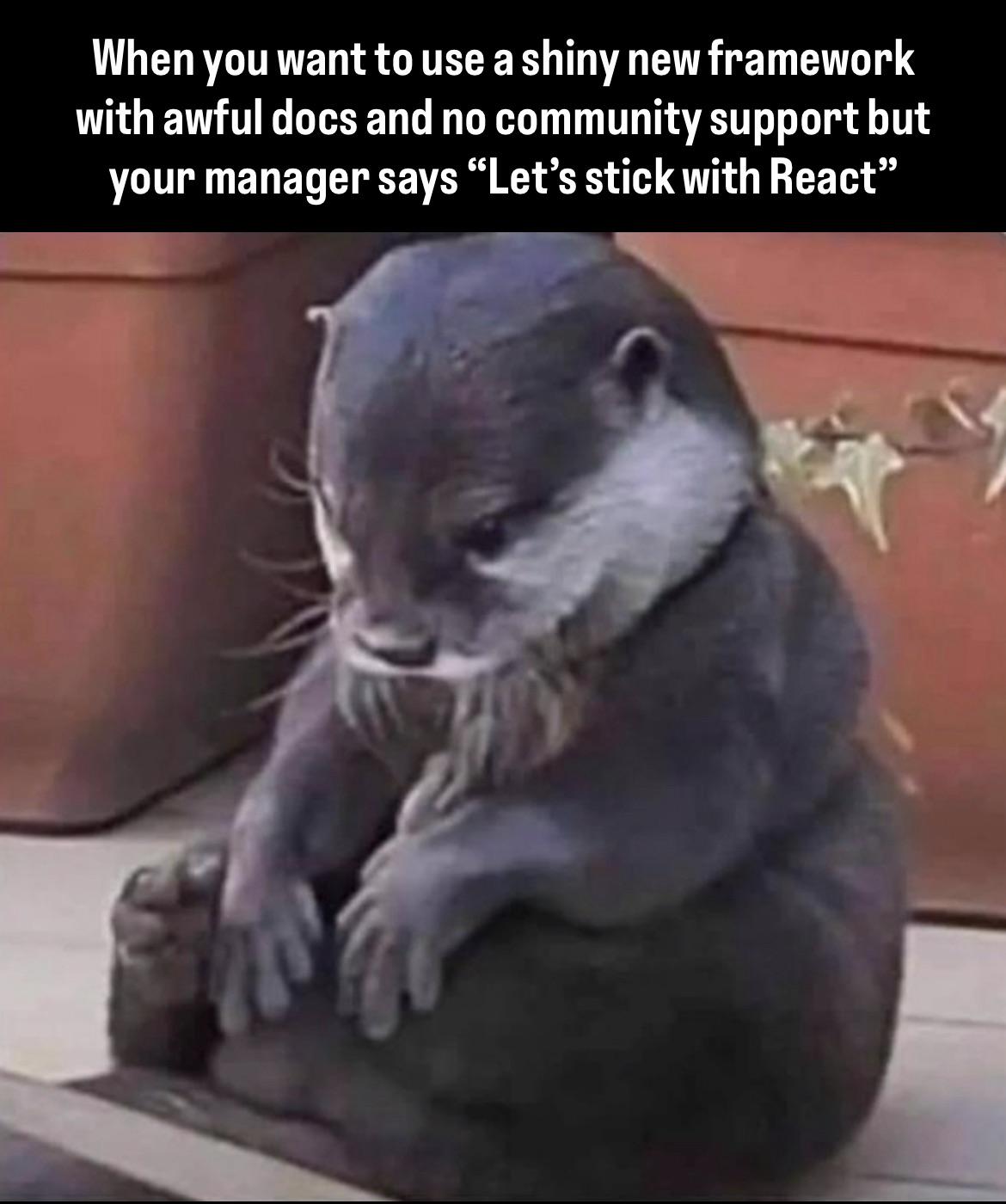 I Suffer From Shiny Object Syndrome