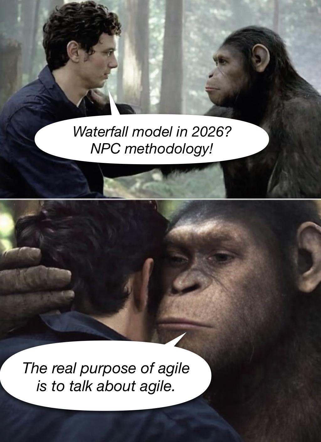 The Daily Process Theater