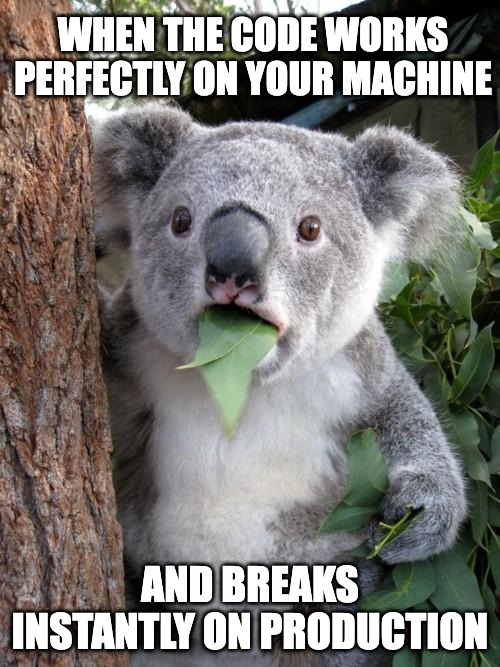 Dev Life Production Problems