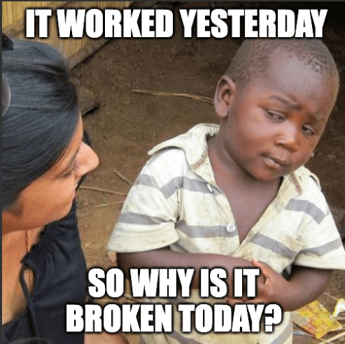 Dev Life Mystery Bug