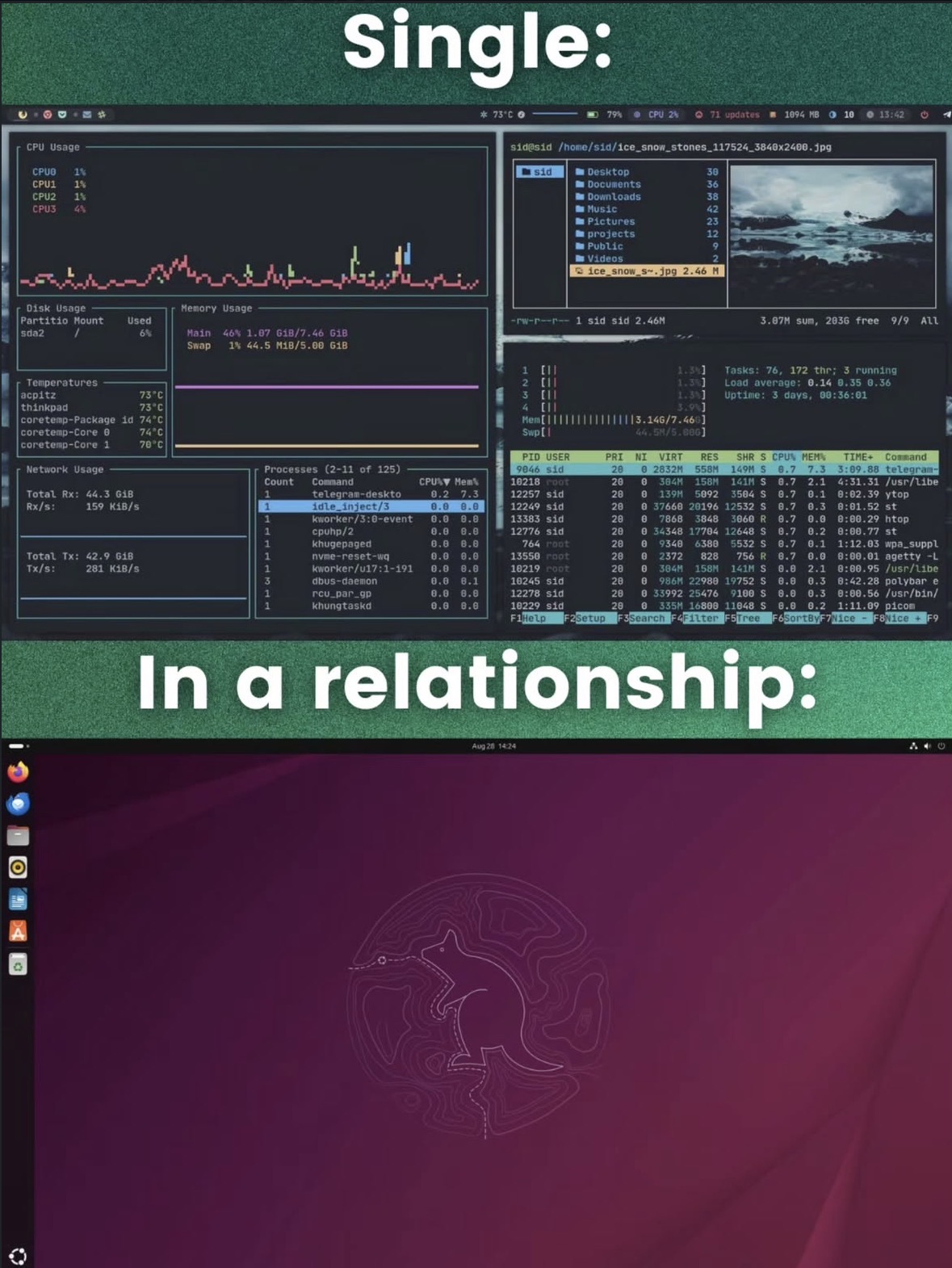 Single Vs In A Relationship