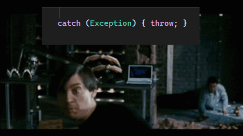 Handling Exceptions Be Like