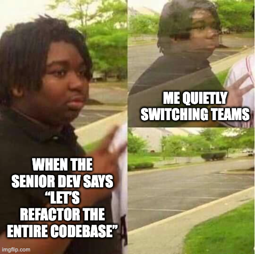 When The Senior Dev Suggests Refactoring The Entire Codebase