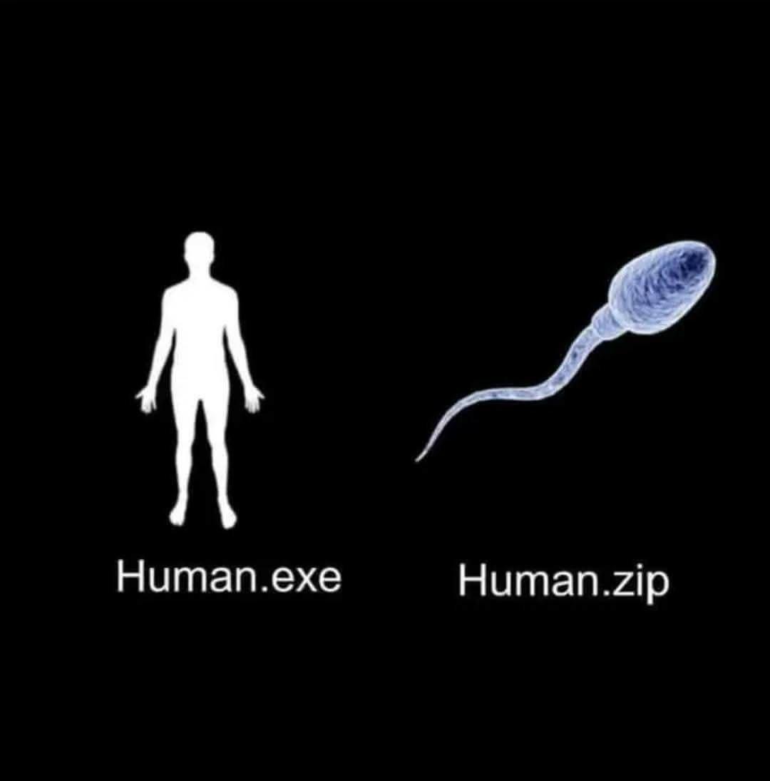 Best Compression Software