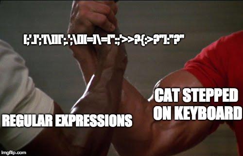 Me And My Cat Are The True Crusaders