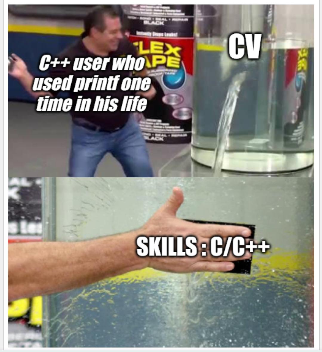 CV Skills ProgrammerHumor io