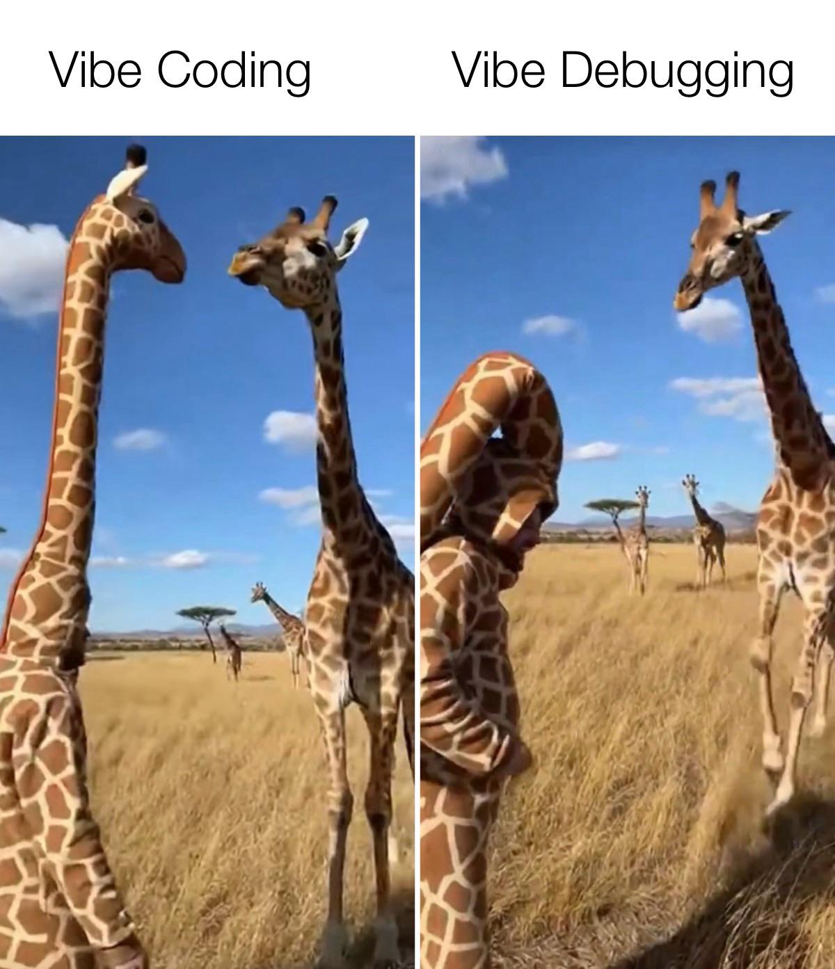 Real Coder Auto Revealed