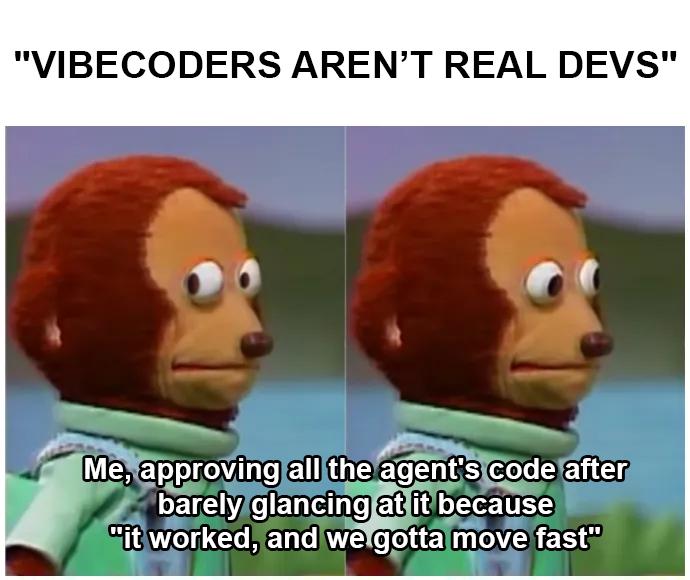 Vibecoders Aren't Real Devs