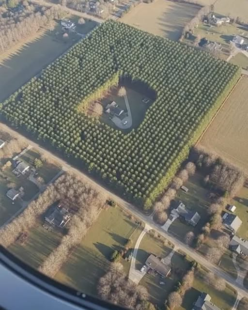 Anyone Know What CPU Socket This Is?