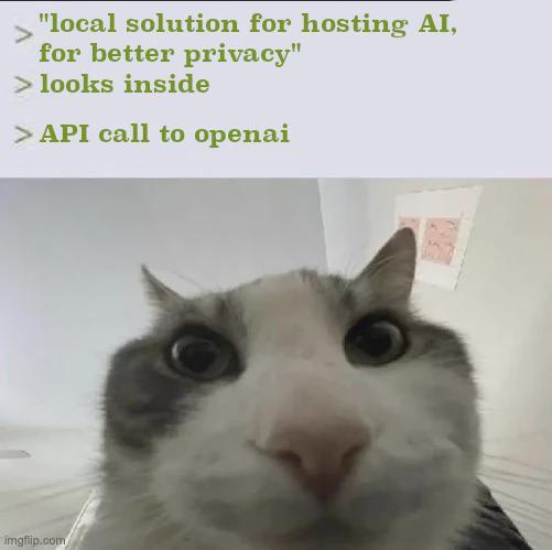 Locally Hosted AI Product