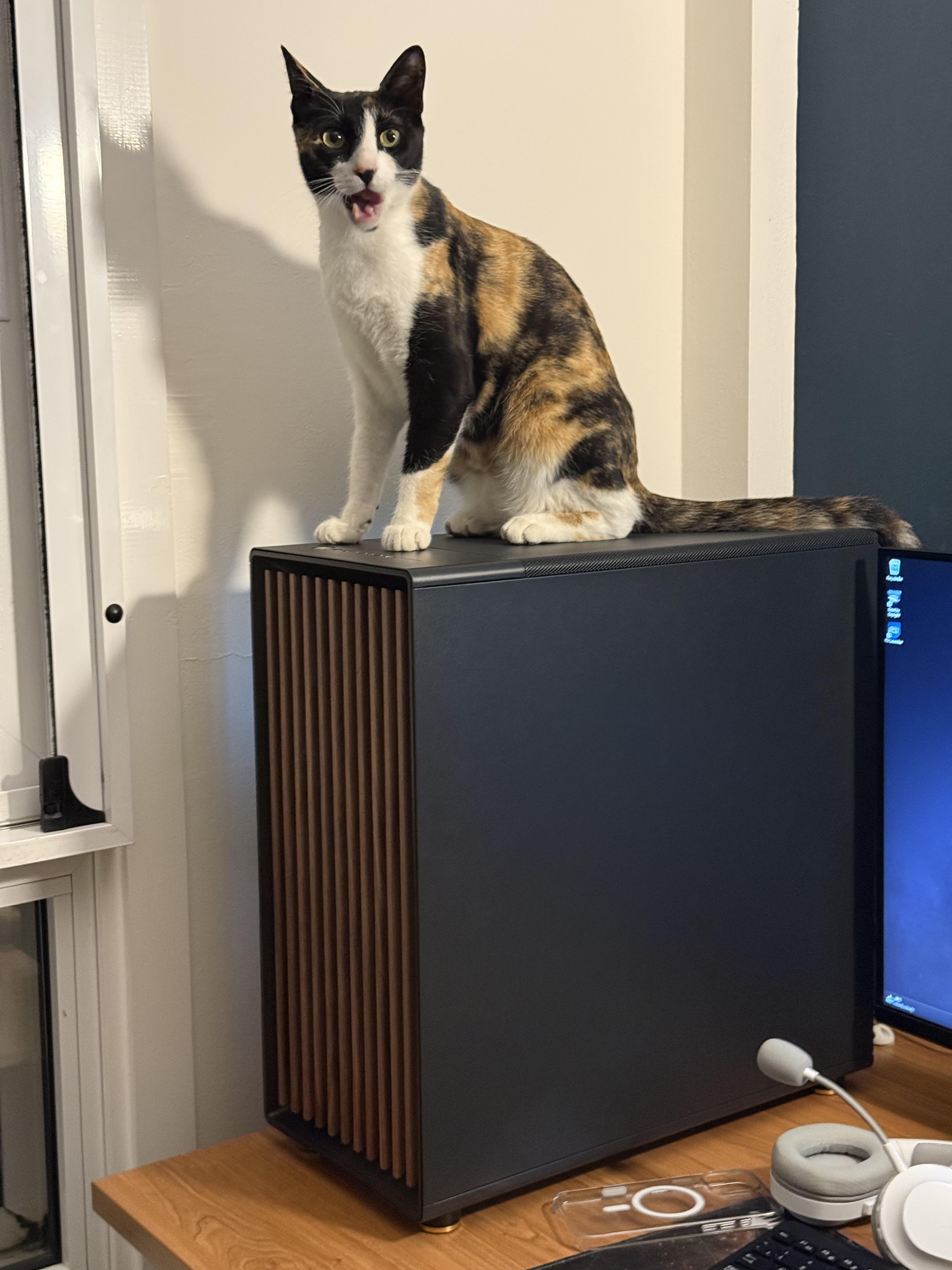 Watching Me Lose 5 Games In A Row