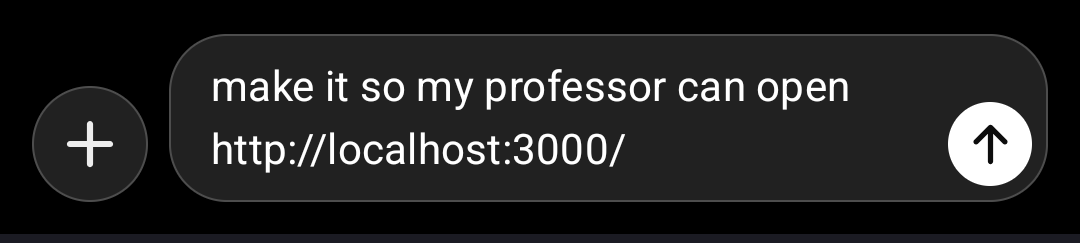 Worlds Smartest Vibe Coder