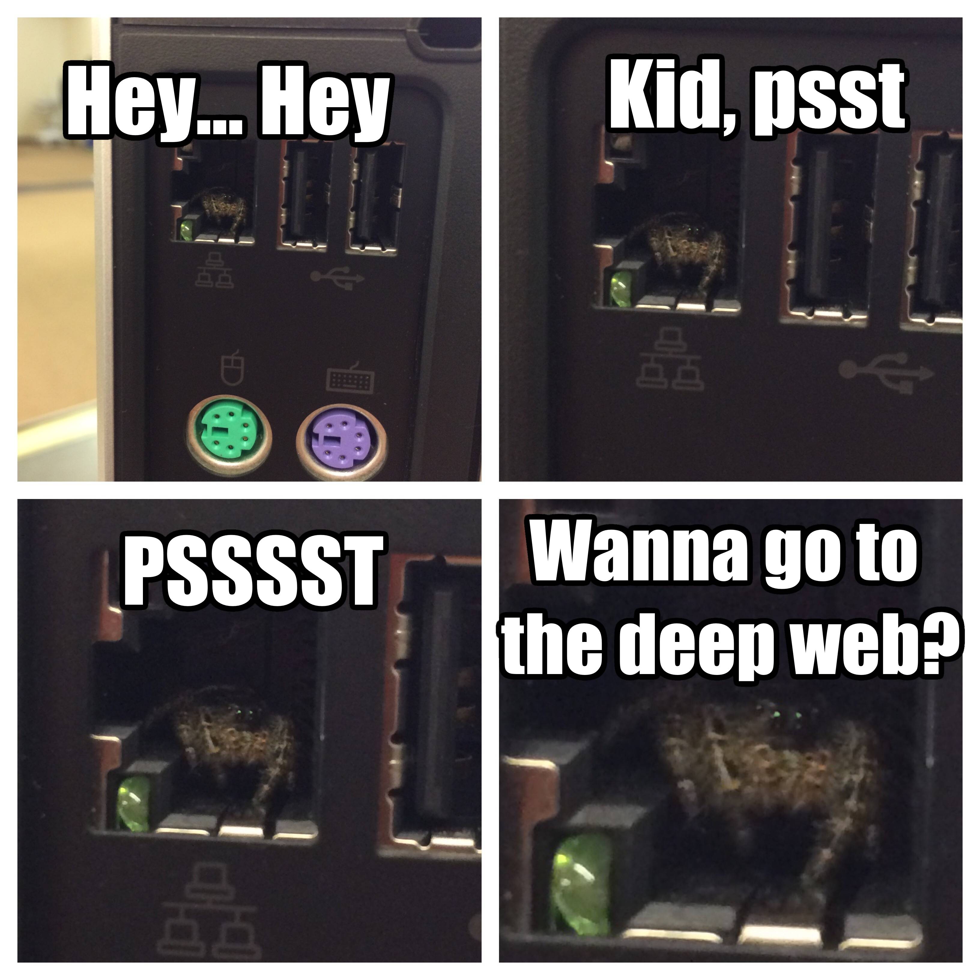 Hey... Wanna Go To The Deep Web?