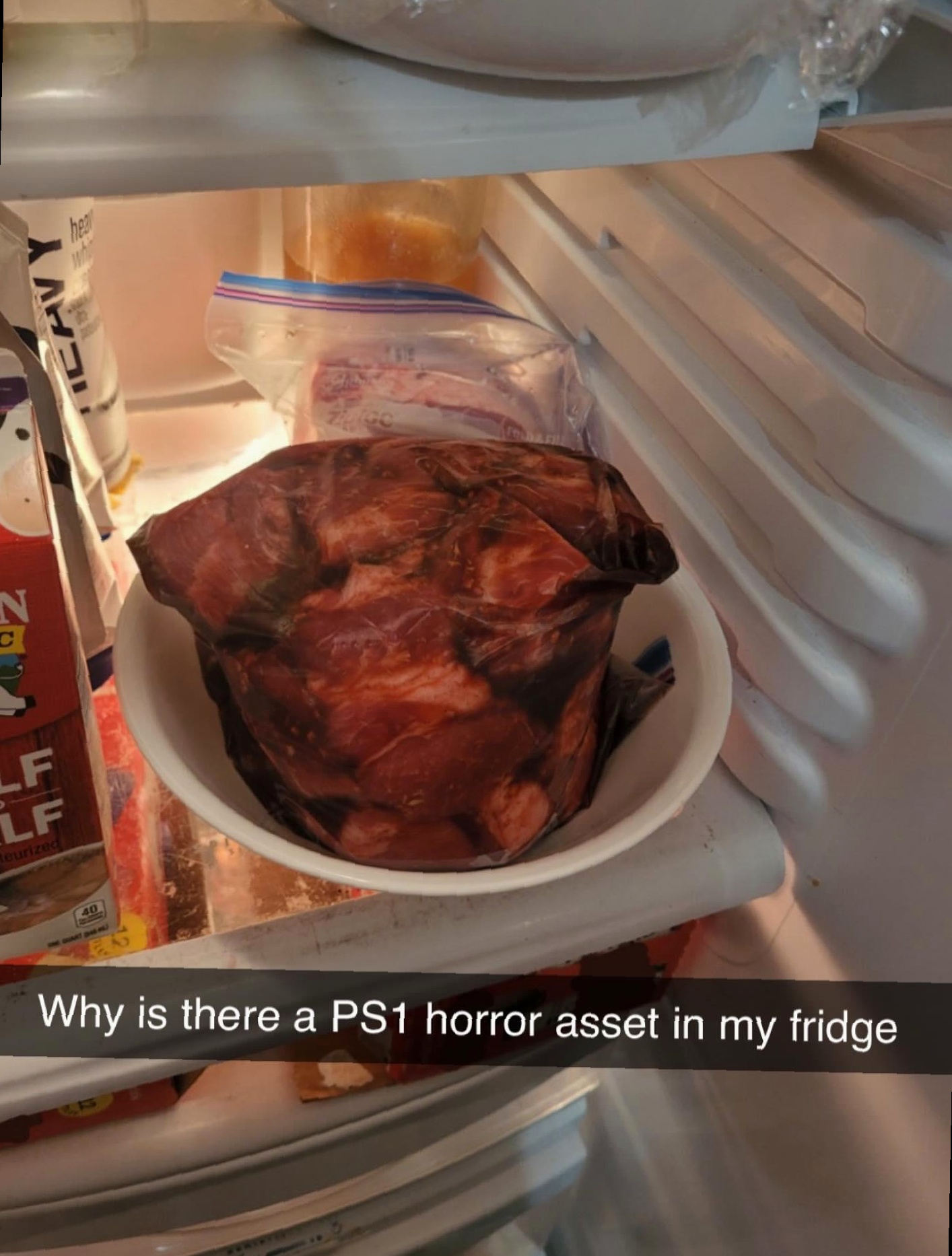 Am Making A PS1 Style Horror Game And Forgot This In My Roommate's Fridge