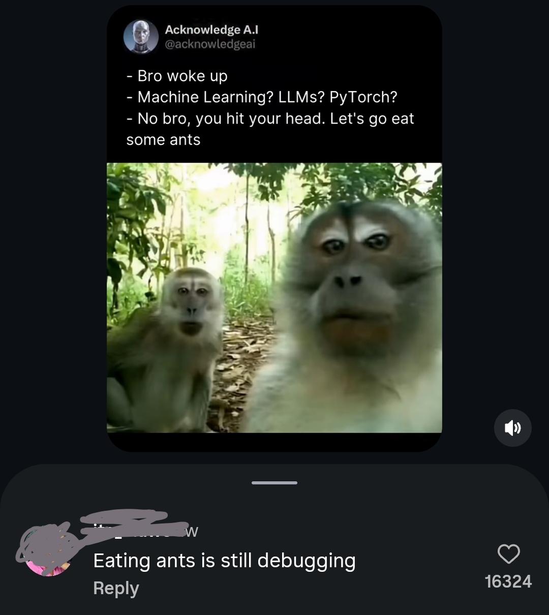 Can't Run From Debugging