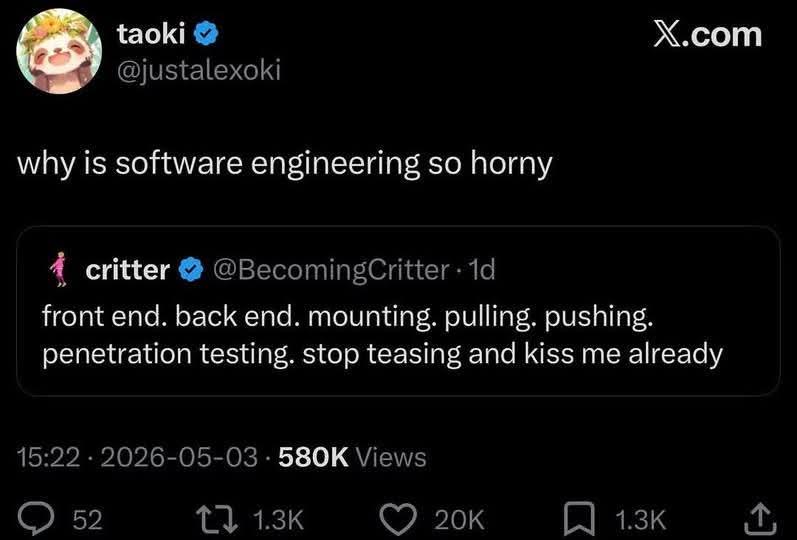 Why Is Software Engineering So Horny?