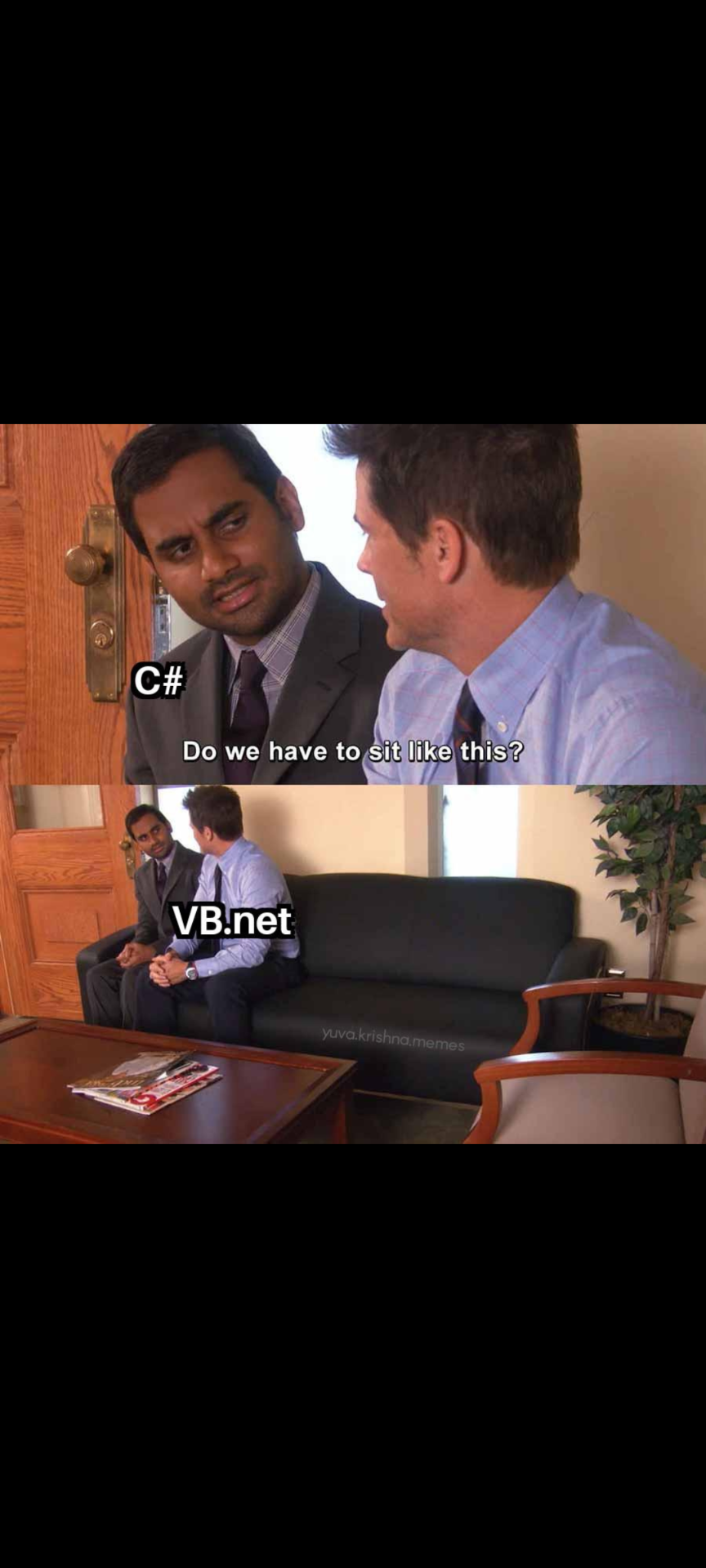 When C Sharp And VB Net Share The Same Dot Net Parent