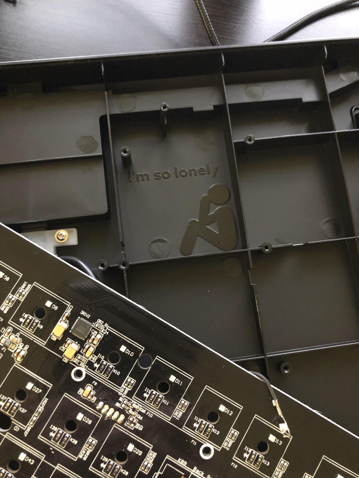 Found This Easter Egg When I Was Disassembling My Keyboard. Poor Fella
