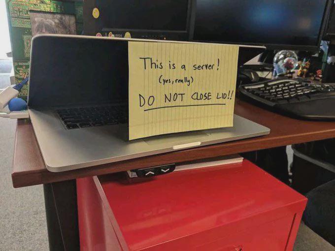 The Average Tech Startup
