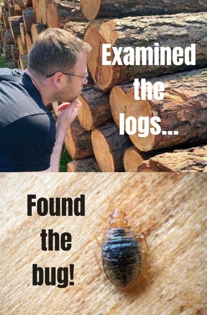 Root Cause