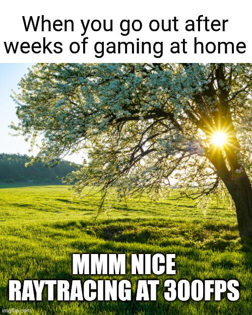 When You Touch Grass