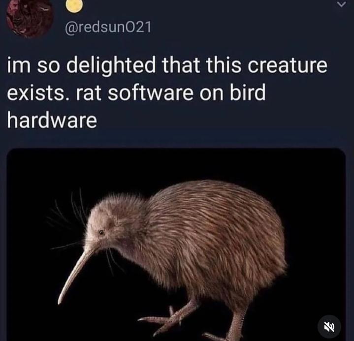Rat Software On Bird Hardware