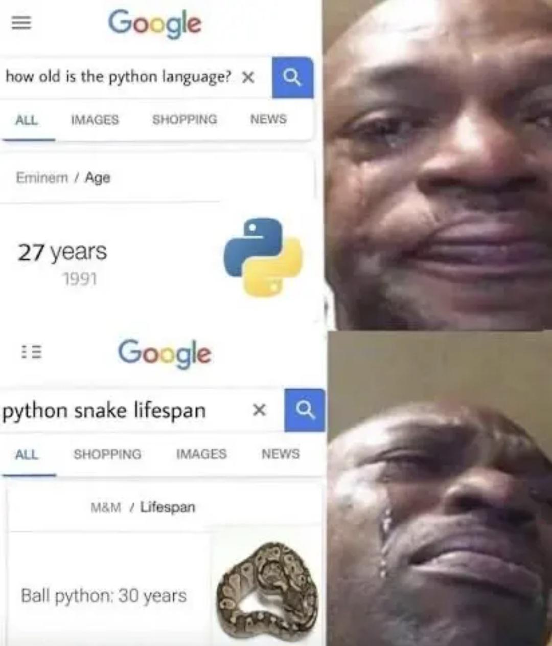 Python Rip
