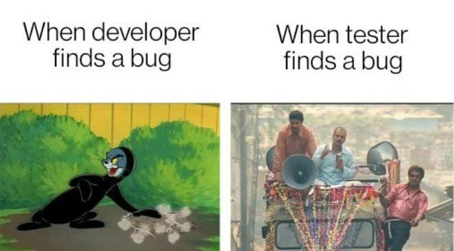 The Chaos Is Real