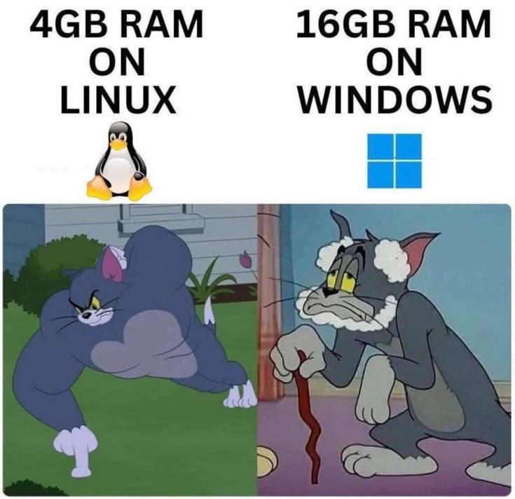 Linux Users When Someone Says They Need More Ram
