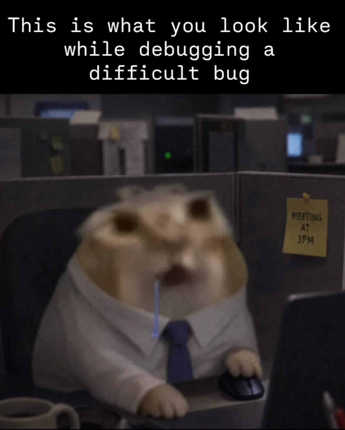 Maybe The Bug Will Solve Itself If I Stare At It Longer