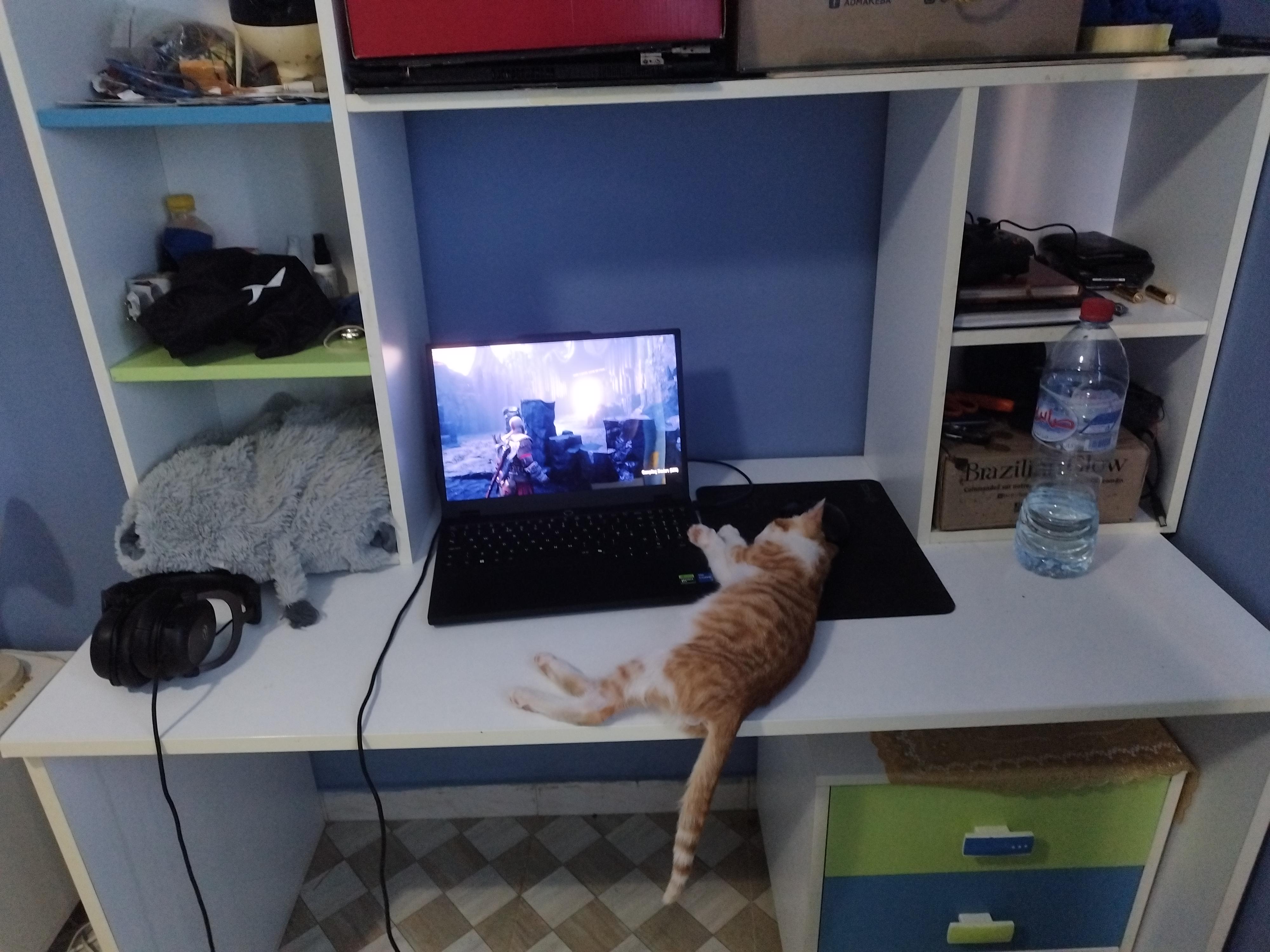 Rate My Setup. (Ignore The Cat)