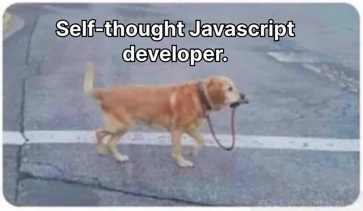Self Taught Javascript Developer